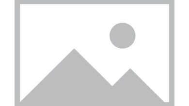 Sustainable Fashion Brands