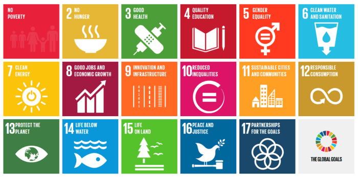 United Nations Sustainable Development Goals Open Pedagogy Assignments ... United Nations Sustainable Development Goals Open Pedagogy Assignments ...