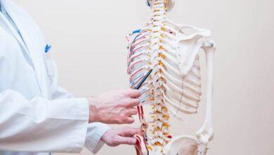 Chiropractic Services