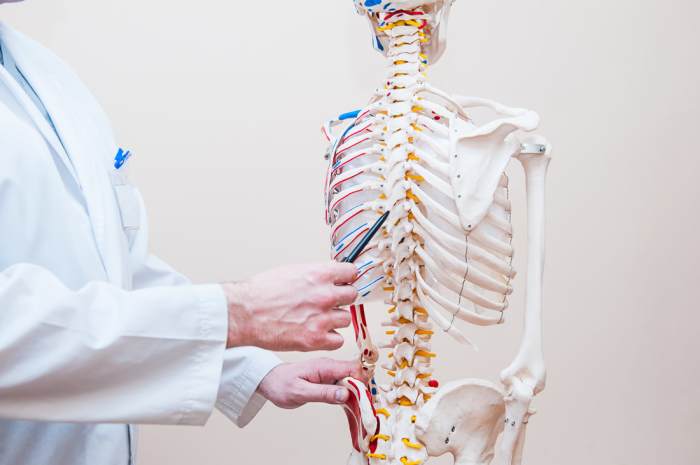 How Medicare covers Chiropractic Services | AMAC Medicare Chiropractic Services