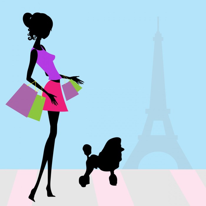 Fashion Woman Shopping Paris Free Stock Photo - Public Domain Pictures Fashion Styling Services