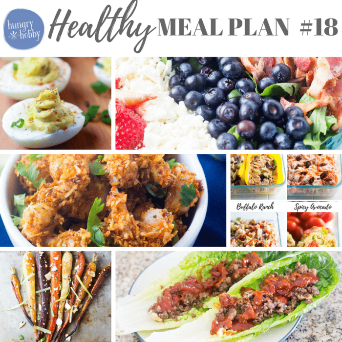Healthy Meal Plan 18 - Hungry Hobby Healthy Meal Plans