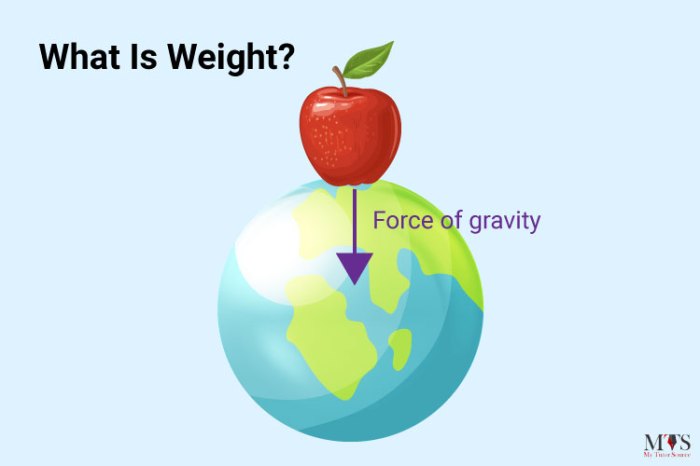 Weight Definition in Science Weight Definition in Science